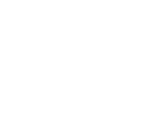 Seit Januar 2013 hat Kai Uwe Fleßner auch die Zusatzqualifikation „Sektoraler Heilpraktiker“, d.h. er darf eigene Diagnosen stellen  und auch ohne Rezept therapieren.  Jeder neue Patient wird durch ihn befundet, um einen Therapieplan erstellen zu können.